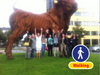 City Game: Urban Challenge - Populair!